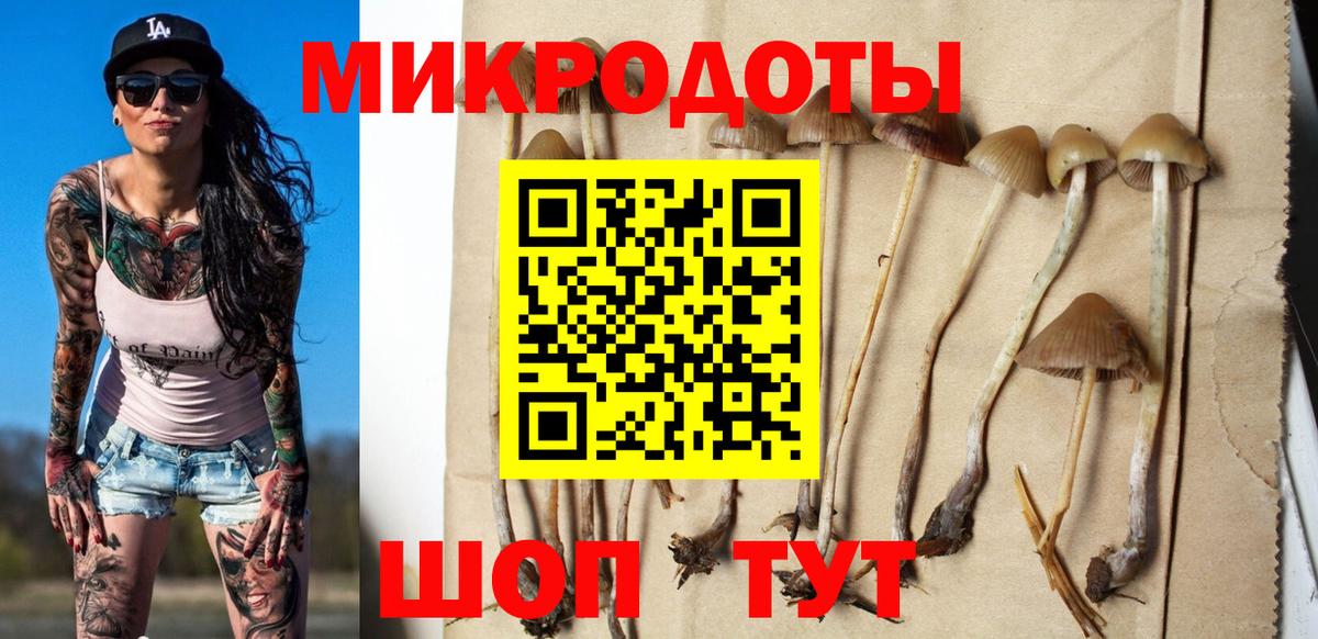Мурманск  Галлюциногенные грибы Cubensis  Псилоцибиновые грибы прущие грибы  Вход с VPN 